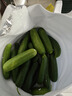 【超市品质】山东新鲜水果黄瓜嫩青瓜生吃蘸酱生鲜蔬菜减肥搭配 山东水果黄瓜 6斤 带箱 实拍图