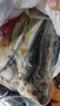 朵芙 新鲜秋刀鱼 4斤 净重独立包装刀鱼秋刀鱼烧烤食材海鲜水产 【新鲜秋刀鱼4斤】500g*4袋 实拍图