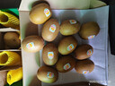 佳沛（zespri）新西兰 阳光金奇异果12粒礼盒特大果单果约122-146g 猕猴桃 水果 实拍图