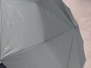 天堂 全自动雨伞三折 10骨加固一键开收易甩干简约晴雨伞 冷山绿 实拍图