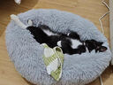 憨憨乐园狗窝猫窝垫子小型犬泰迪宠物窝床猫咪狗狗四季保暖窝垫子长毛窝M 实拍图