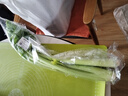  大芹菜约400g 实拍图