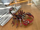 机械昆虫可动仿真蝎子精密金属拼装模型立体拼图创意diy手工玩具 【红魔蝎】限时特价 实拍图