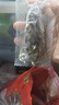 辽参大连有机冷冻海参1斤10-12只非即食京东自营旗舰店独立包装正品 实拍图
