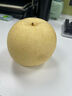 京鲜生 长城皇冠梨  净重4.5斤 单果200g+ 生鲜水果礼盒 实拍图