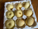泽华果品山东烟台栖霞奶油苹果牛奶苹果水果送礼团购源头直发包邮 净重4.5斤单果80mm+ 源头直发 实拍图