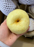 正鲜季（ZHENGXIANJI）正宗砀山梨酥梨薄皮梨当季新鲜水果砀山梨雪梨脆甜大果整箱安徽 3斤 【大果250g+】砀山直发|脆甜多汁 实拍图