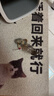 贵为（GiGwi）小鸟发声逗猫玩具小猫咪幼猫自嗨解闷神器磨牙耐咬宠物玩具逗猫棒 实拍图