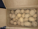 京鲜生恩施小土豆5斤 单果约30-140g新鲜黄心土豆马铃薯源头直发 实拍图