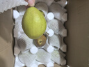 源自新疆红香酥梨新鲜梨子3/5/10斤脆甜皮薄梨子应季水果整箱批发 净重5斤精选大果 实拍图