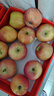 京地达烟台栖霞红富士苹果净重4.5斤单果约193g烟台苹果水果源头直发 实拍图