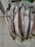我爱渔冷冻满籽多春鱼300g 大号10-15条  生鲜鱼类 烧烤食材 实拍图
