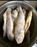 三都港 冷冻海捕小黄鱼700g 24-29条 黄花鱼 海鱼 生鲜鱼类 实拍图