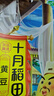 十月稻田 黄豆 2斤 打豆浆 可发豆芽 东北大豆 五谷杂粮  早餐 大米伴侣 实拍图
