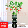 【带根富贵竹转运竹龙竹】招财水培植物客厅弯竹开运竹子盆栽花卉 60-65cm转运竹--6支 送3灯笼 实拍图