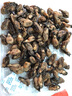 金唐金蚝干大号200g 牡蛎干生蚝干煲汤煮粥材料 海产干货中秋食材 实拍图