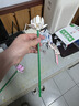乐高（LEGO）积木拼装40647 荷花男孩女孩儿童玩具生日礼物 实拍图