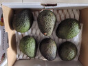 京鲜生云南哈斯牛油果巨无霸果6粒礼盒款 单果250g起 生鲜水果包邮 实拍图