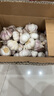 京鲜生云南紫皮鲜蒜 净重5斤 大果4.5-5cm湿蒜带泥大蒜多瓣蒜 源头直发 实拍图