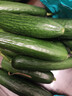 京喜加新鲜无刺水果小黄瓜小青瓜脆甜荷兰脆嫩生吃黄瓜蔬菜 水果黄瓜 2斤 带箱活动 实拍图