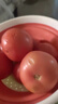 绿水秦川正宗高山沙瓤水果西红柿现摘新鲜水果生吃沙地西红柿自然熟 严选5斤西红柿(净重约为4斤+） 超值家庭装【手工挑选】 实拍图