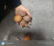 时味季正宗临安天目山小香薯5斤装红皮黄心红薯手指薯新鲜带皮板栗番薯 5斤 【鸡蛋果】 实拍图