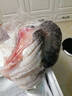 柒岛鳄鱼肉鳄鱼尾鳄鱼腿肉鳄鱼腩肉鳄掌肉带皮鳄鱼生鲜肉食材净重 2-2.1斤鳄鱼腿肉 实拍图