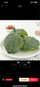 小汤山 西兰花 270g 基地直供新鲜蔬菜GAP认证 实拍图