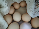 京鲜生柴鸡蛋30枚 3斤 无抗生素 谷物喂养鲜鸡蛋 源头直发 实拍图