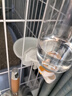 波奇多 悬挂宠物水壶500ml猫咪饮水机挂式自动狗狗喝水器水碗猫笼子喂水 实拍图
