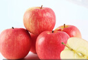 京鲜生 烟台红富士苹果 净重5.2斤/12粒  单果190-240g  水果礼盒 实拍图
