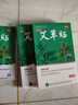 万通艾草贴全身通用3盒装肩周炎颈椎病跌打损伤骨质增生膏药贴10贴/盒 实拍图