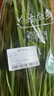 绿色韭菜250g 实拍图