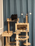 唐米吉吉加粗大型猫爬架猫窝猫树一体太空舱猫架子小户型不占地剑麻猫玩具 【肥猫无忧】176cm猫别墅-B58 实拍图
