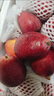 京觅 东北鸡心果3斤装 生鲜水果 海棠果小苹果现摘先发 源头直发 实拍图