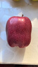 京鲜生 甘肃天水花牛苹果 又大又红 净重4斤装 单果200g起 新鲜水果  实拍图