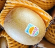 佳沛（zespri）新西兰 阳光金奇异果12粒礼盒特大果单果约122-146g 猕猴桃 水果 实拍图