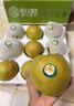 爱鲜摘农场正宗山西玉露香梨5/10斤梨子新鲜水果顺丰礼盒当季整箱香酥梨雪梨 7A 精选果 |单果200-250g【很甜】 5斤装【爆款主推-80%选择】巨划算 实拍图