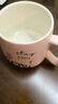 富光花茶杯 男女士茶水分离杯子 双层办公泡茶玻璃杯带把高硼硅水杯 实拍图