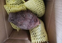 生鲜密语广西荔浦芋头 地标农产品 正宗荔浦芋 新鲜香芋 火锅食材生鲜蔬菜 3-5个2.5kg 净重4.9斤 1份装（芋香浓郁） 实拍图