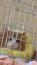 憨憨宠猫笼折叠猫笼子大号猫别墅加粗加密双层猫舍猫窝宠物猫咪用品家用 白色 600双层 实拍图