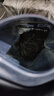 特尊 茶 2025新茶毛尖明前绿茶嫩芽散装5星春茶250g自己喝官方旗舰店 实拍图