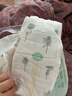 好奇（Huggies）小森林纸尿裤XL32片(12-17kg)尿不湿心钻【透氧顶配更低敏】 实拍图