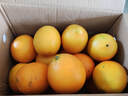 京觅 江西赣南脐橙4.5斤净重橙子单果150g起甜橙新鲜现摘水果源头直发 实拍图