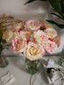 【玫瑰花】云南鲜花批发真花家用插瓶水养节日生日礼物鲜切花束 随机玫瑰18+2枝防损耗 实拍图