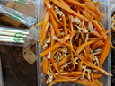 东上御品 山东 淡干虾皮净重500g  虾米皮 小虾米食材-源头直发 实拍图
