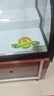 扬子三阶梯凉菜熟食卤菜烧烤商用冷藏柜展示柜冰柜保鲜柜冷冻冰台 2024B款/升级铜管/上冷藏下储物 1600x910x1020mm 实拍图