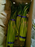 京鲜生山东红帽蒜苔净重3斤粗细适中色泽饱满蒜薹 源头直发 实拍图