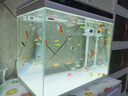 森森 超白玻璃智能桌面鱼缸一体缸自循环HE-480 实拍图