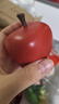纽奇儿童水果切切乐剥皮果蔬仿真苹果婴幼儿厨房做饭女孩玩具生日礼物 2025限定｜果蔬欧包32件｜苹果桶 实拍图
